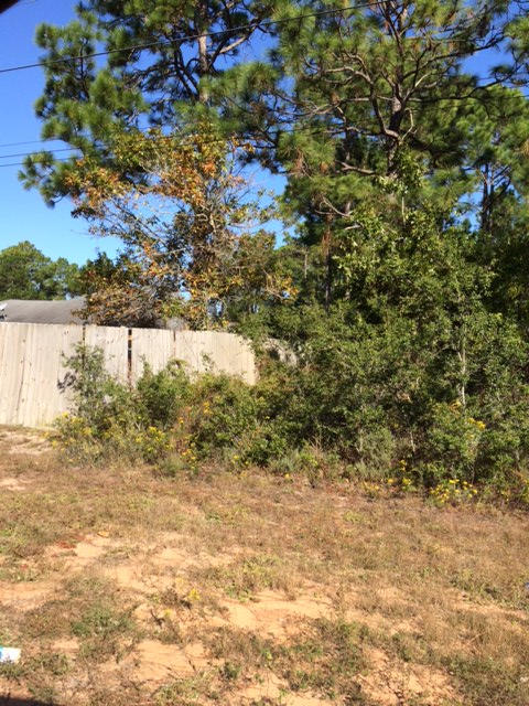 HOLLEY BY THE SEA - Land