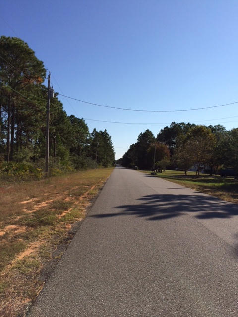 HOLLEY BY THE SEA - Land