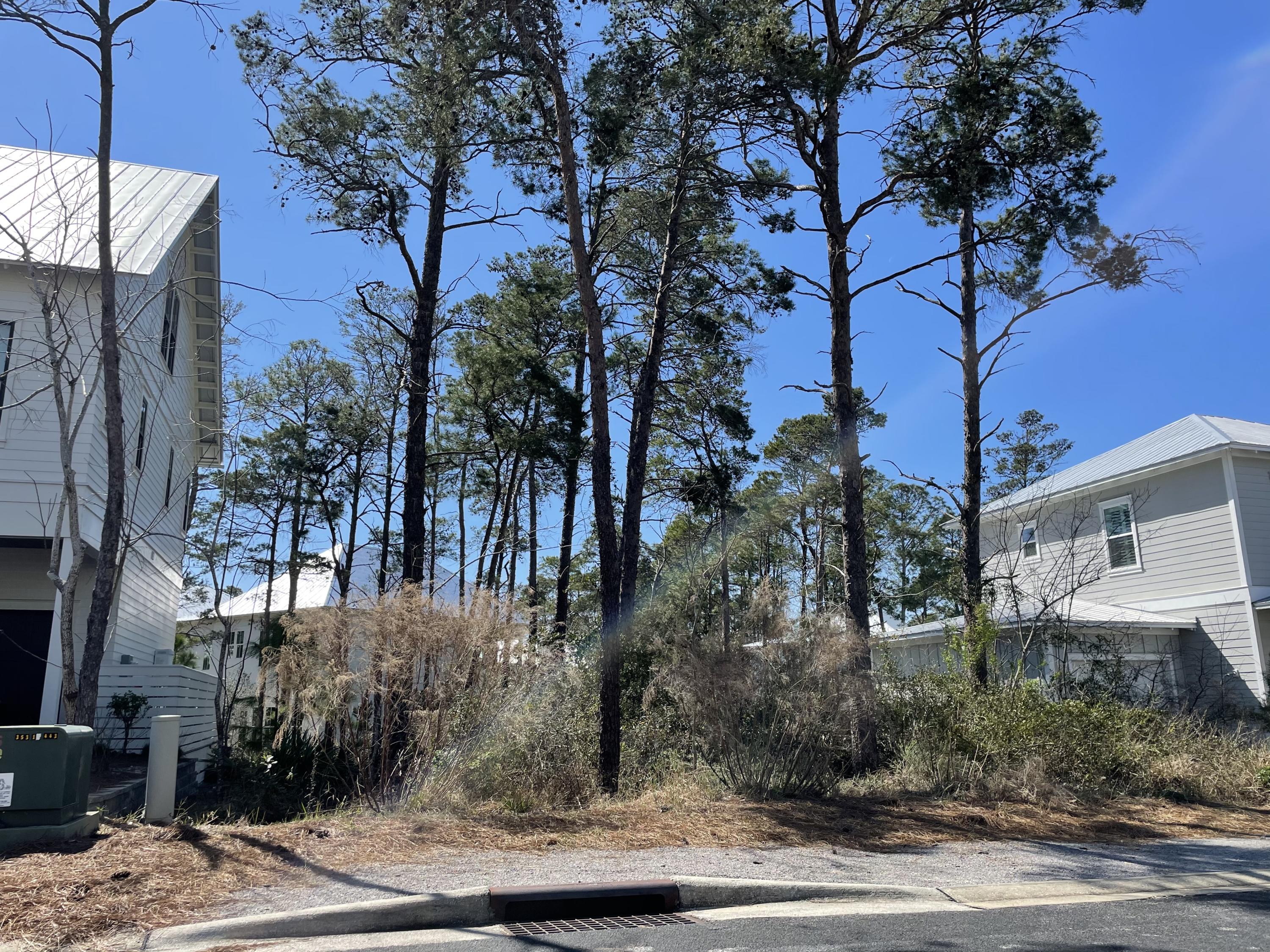 LAKESIDE AT BLUE MOUNTAIN BEACH - Land