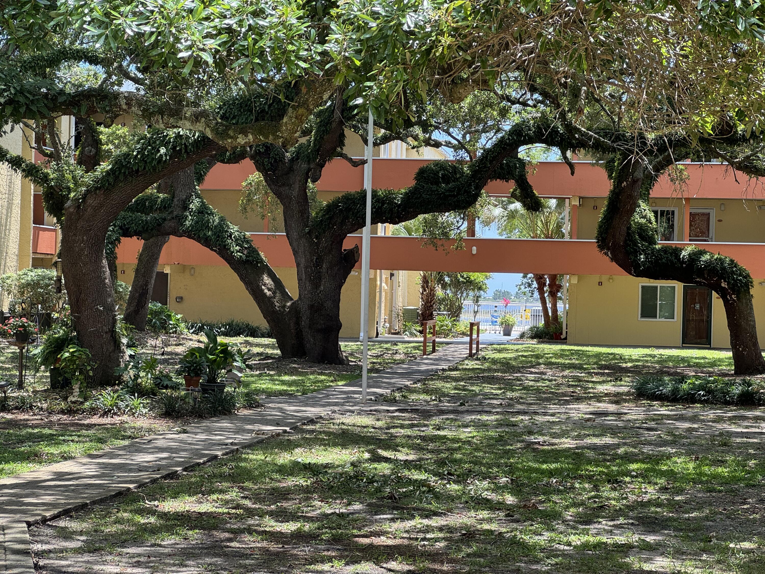 CEDARS THE - Residential