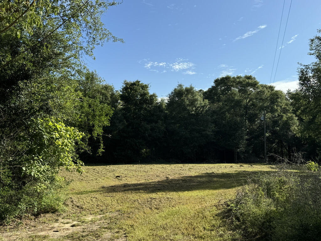 Rutherford Estate - Land