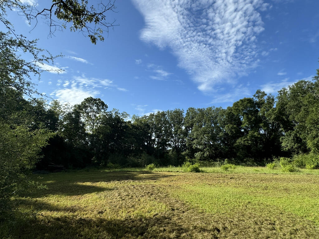 Rutherford Estate - Land
