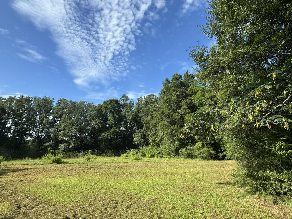 This 42-acre wooded parcel is a hunter's paradise.  There is an abundance of deer, turkey and wild hogs.   Old House is in poor condition.   There is a well and power run to the property.   No value given to the improvements that includes an old pole barn, and concrete block shop.  Over 500 feet of paved road frontage on Blue Pond Lane.   Quiet & peaceful.  a great get away.