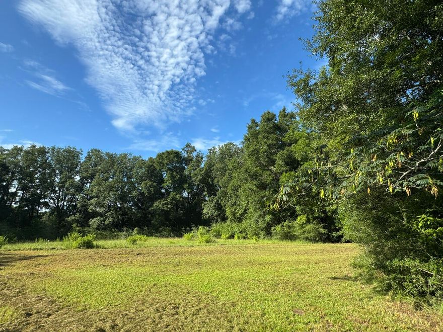 This 42-acre wooded parcel is a hunter's paradise.  There is an abundance of deer, turkey and wild hogs.   Old House is in poor condition.   There is a well and power run to the property.   No value given to the improvements that includes an old pole barn, and concrete block shop.  Over 500 feet of paved road frontage on Blue Pond Lane.   Quiet & peaceful.  a great get away.
