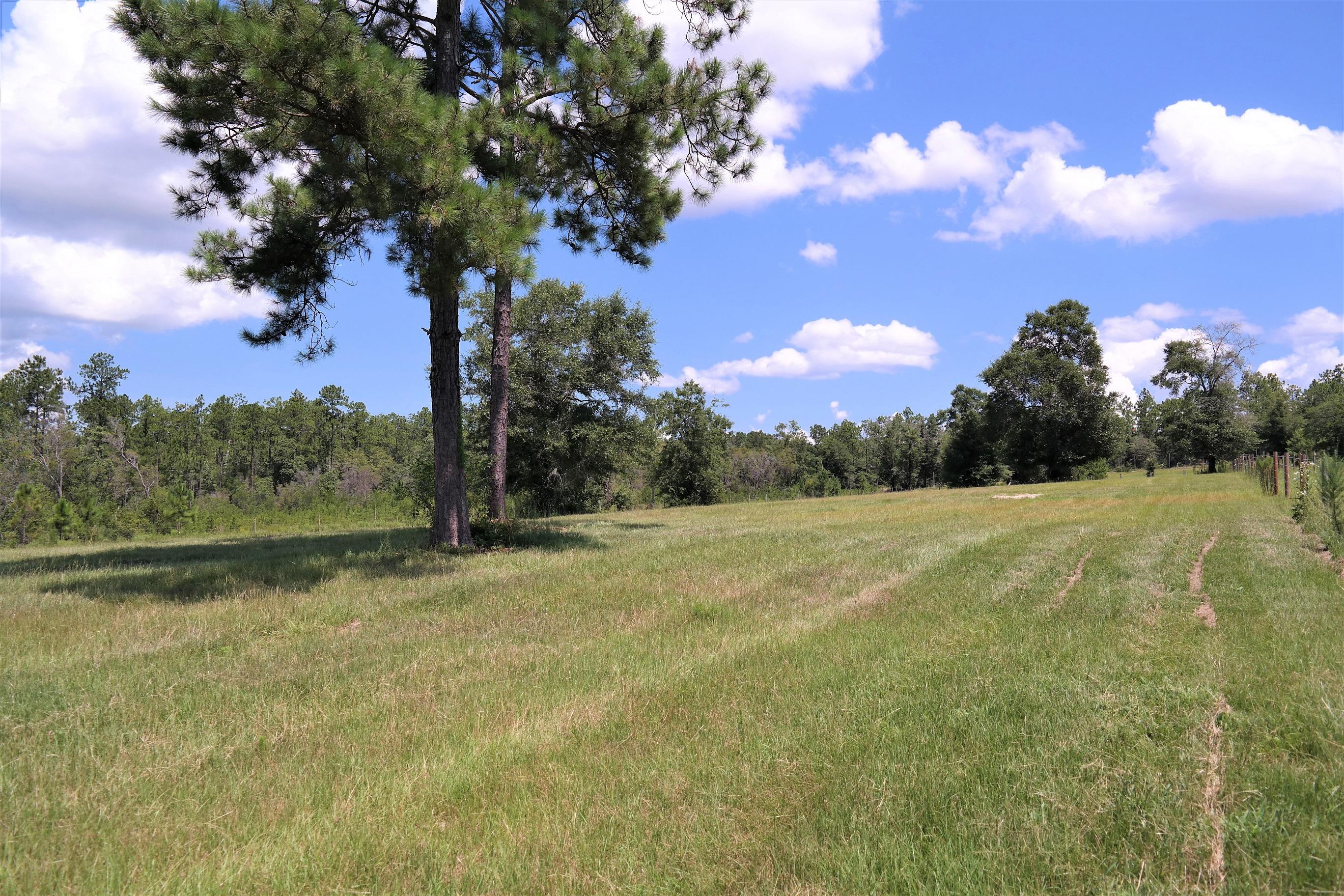 METES & BOUNDS - Farm