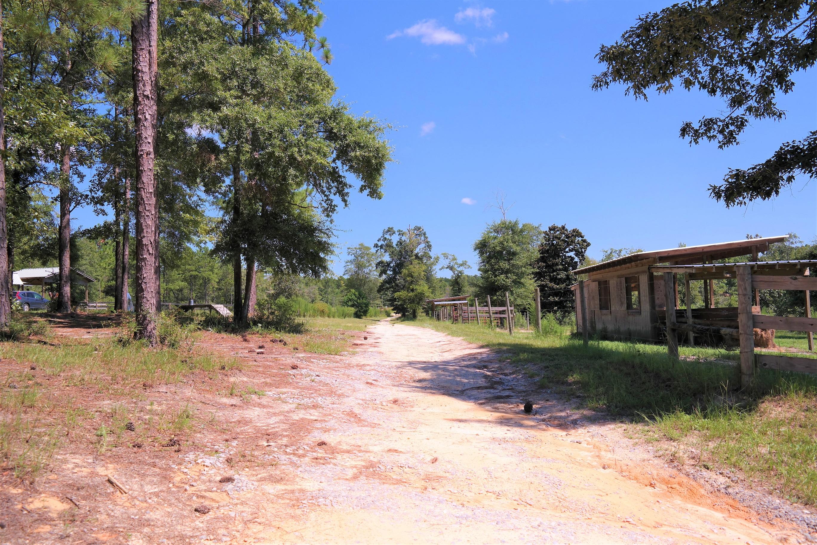 METES & BOUNDS - Farm