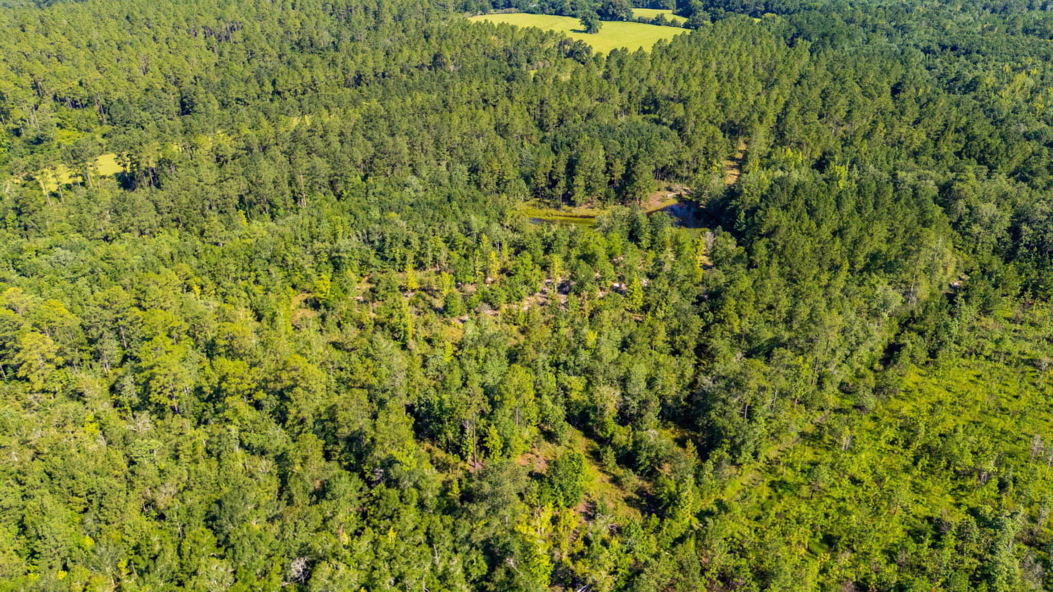 METES & BOUNDS - Farm