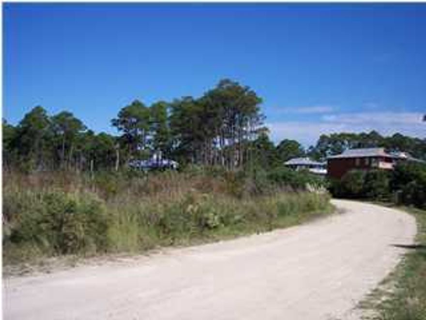 Beautiful, large lot in charming Dune Allen. Very private as this lot is surrounded on 3 sides by natural wetlands. A two story house built on this lot would afford views of Oyster Lake and the Gulf of Mexico. Seahorse Circle becomes Thompson Road at Allen Loop which means you have easy access to Hwy 98 and Grand Boulevard at Sandestin restaurants and shopping and Sacred Heart Hospital. Beach access and dune walkover are located walking distance across 30A. Close to restaurants and shopping in Gulf Place, Blue Mountain, Grayton Beach, Seaside and Watercolor but located on the quiet west end of Hwy 30A.