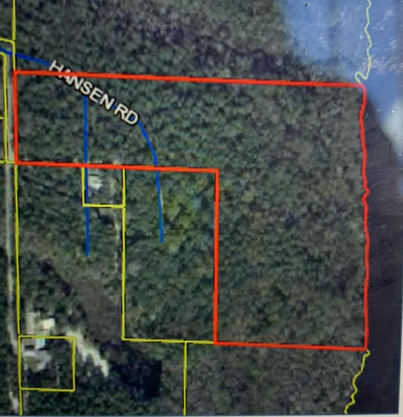 Property has 1,000+/- feet on Four Mile Creek. Water is deep and supports barge traffic. Property is high and dry with mature oaks. Property is south of Freeport Industrial Waterfront complex and zoned Industrial. Great developer opportunity. The property has the potential to be rezoned residential and possibly annexed into the City of Freeport. The property's Tax District is County (District 5). The City of Freeport water and sewer is near the entrance to the property. Adjacent 5.14 acres included in this purchase. 22-1S-19-23010-000-0110. Buyer to verify all dimensions and details.