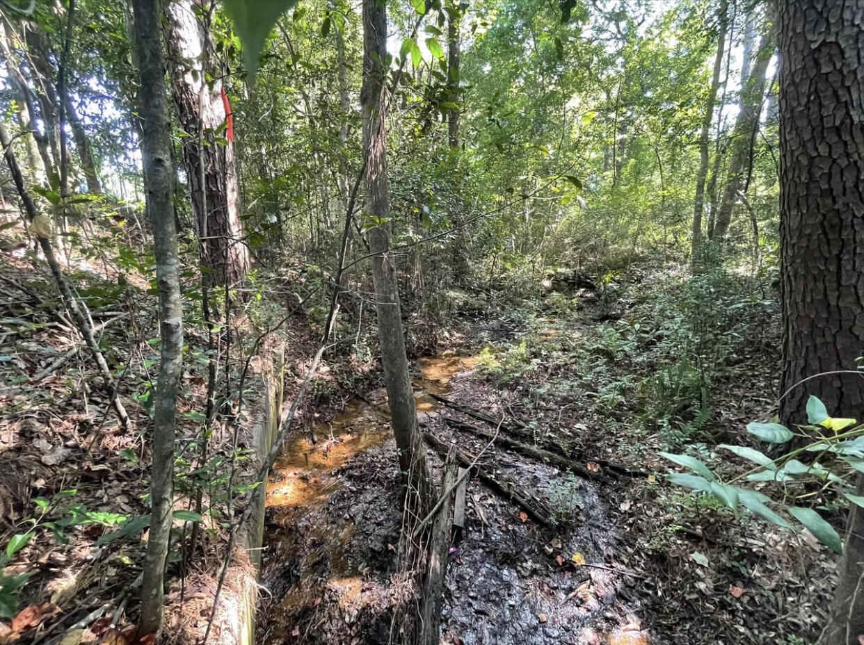 TOWN OF DEFUNIAK SPRINGS - Land