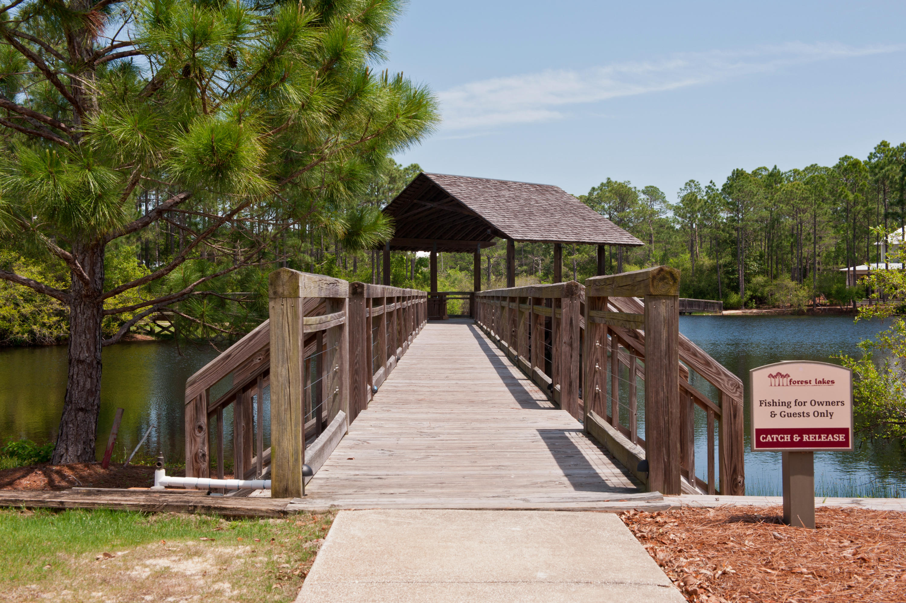 FOREST LAKES - Residential