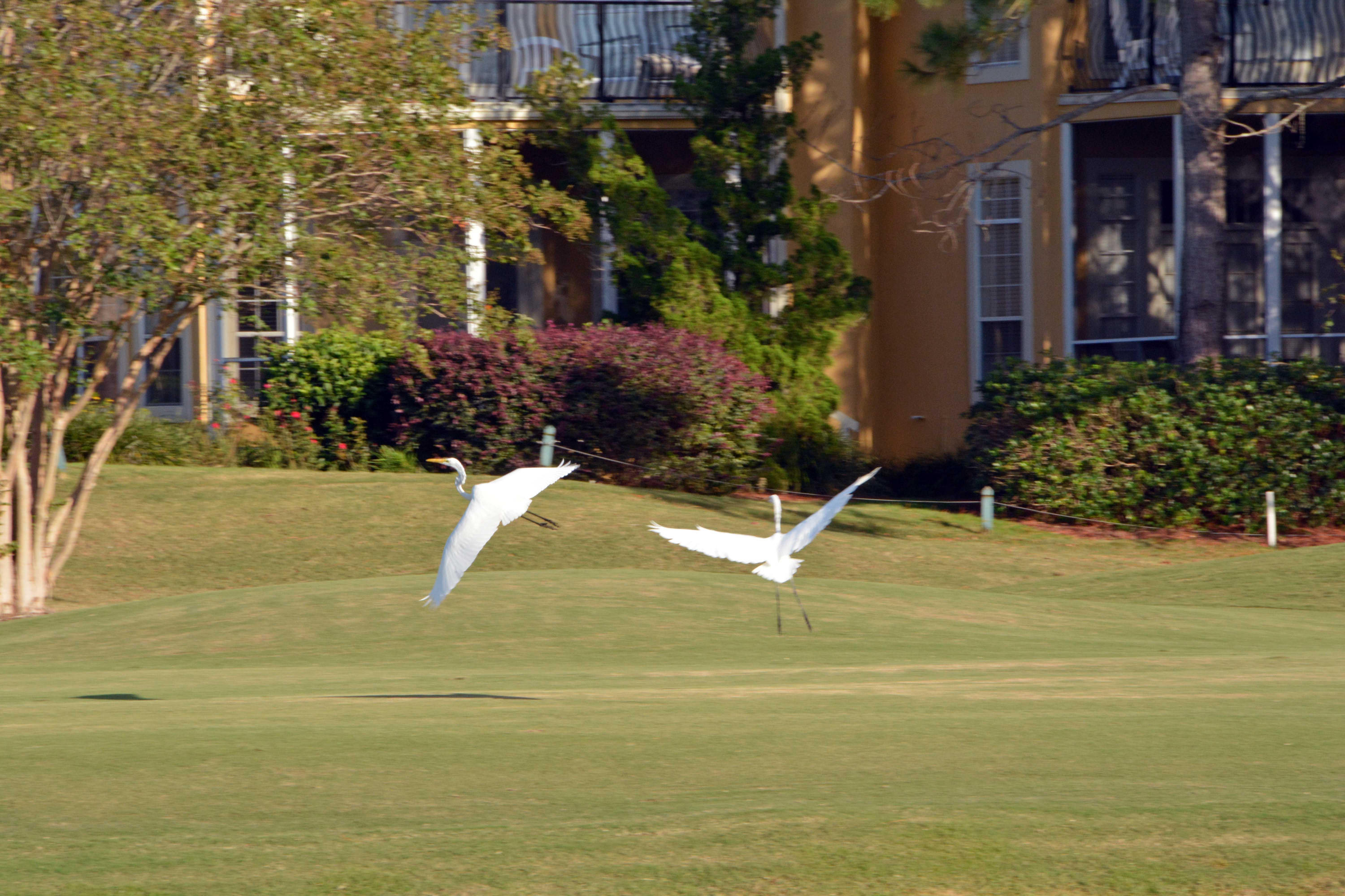 FAIRWAYS AT SANDESTIN PH 4 - Residential