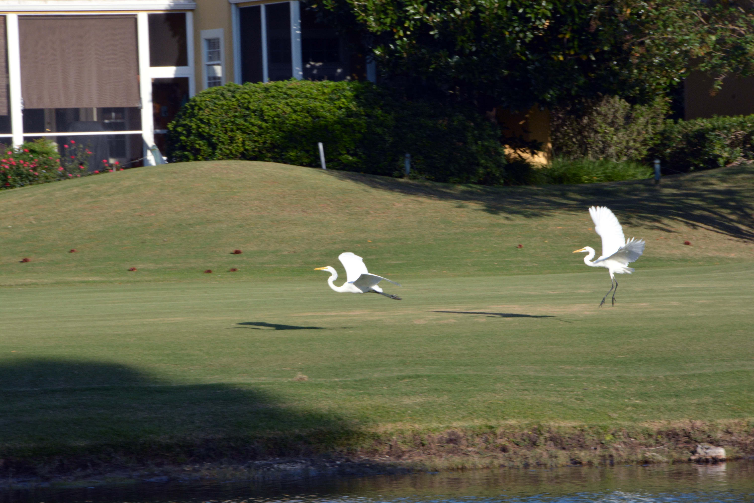 FAIRWAYS AT SANDESTIN PH 4 - Residential
