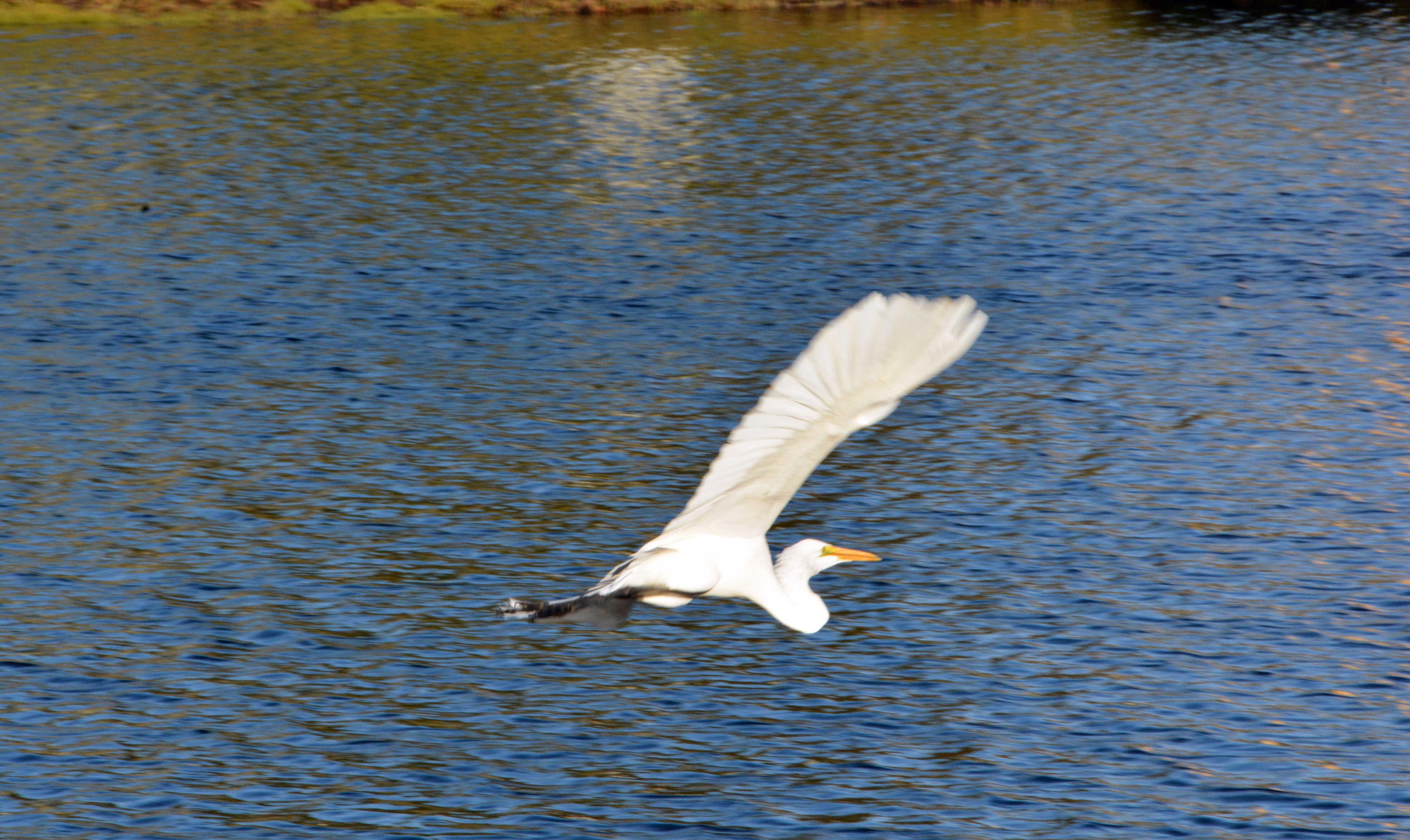 FAIRWAYS AT SANDESTIN PH 4 - Residential