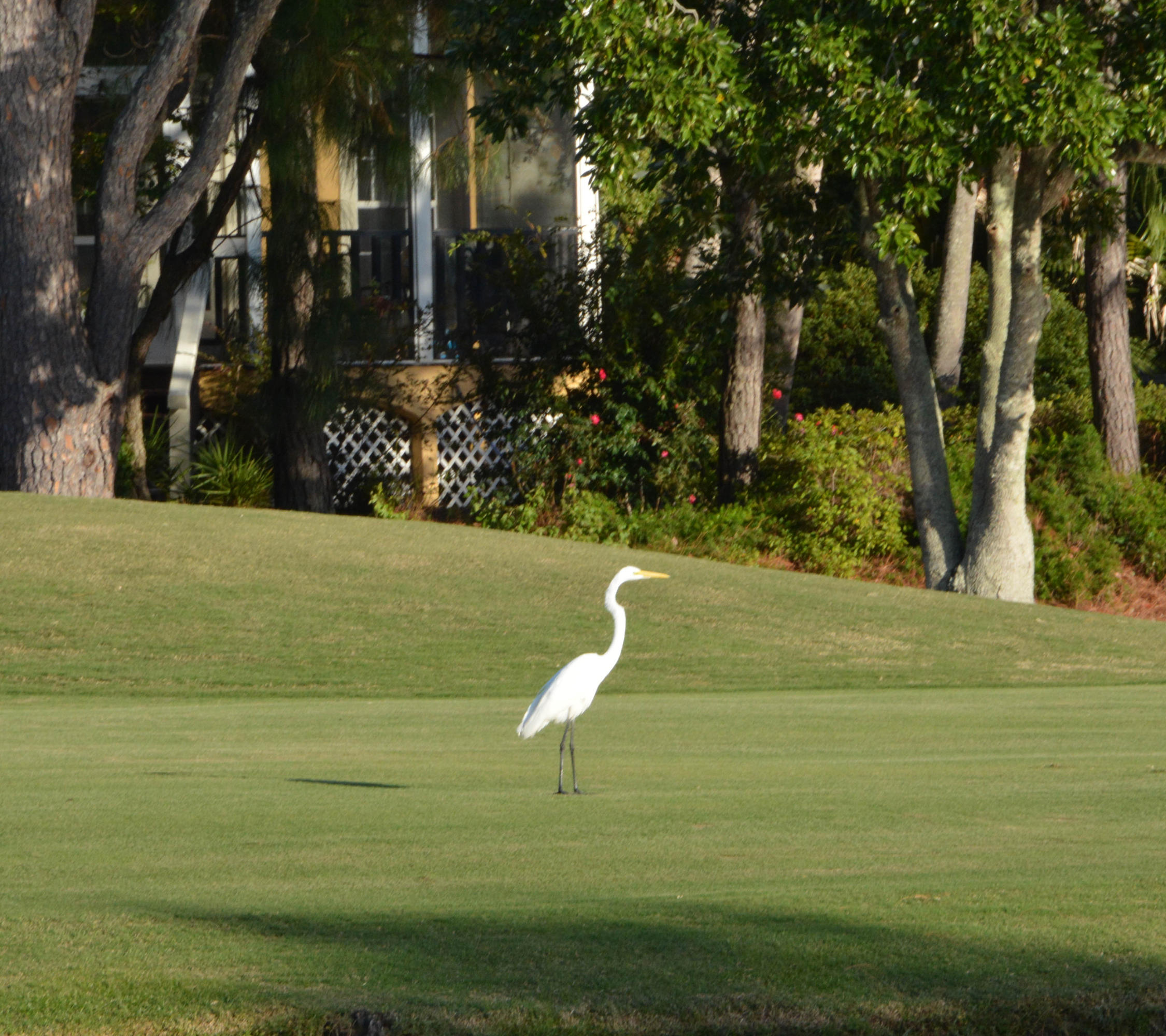FAIRWAYS AT SANDESTIN PH 4 - Residential