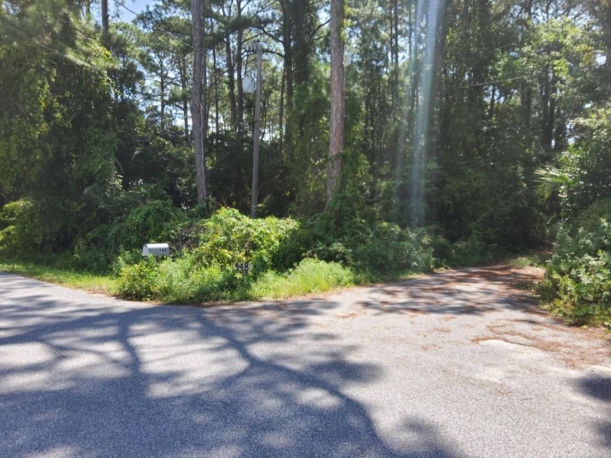 Lot offers privacy from the street.Easy access to everything Destin has to offer including white sandy beaches and emerald green water of Gulf of Mexico.  Plenty of room for a boat on a trailer and launch at Joe's Bayou just minutes away.  Restaurants, Harbor Walk, shopping all nearby.