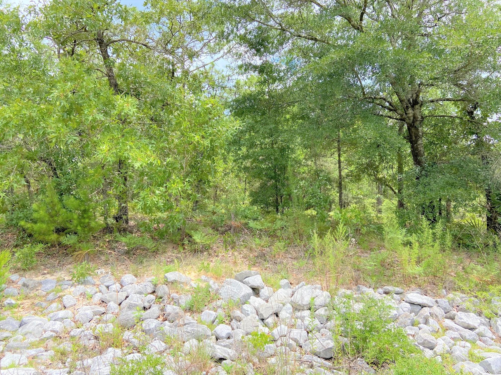 Oakwood Hills Unit 1 - Land