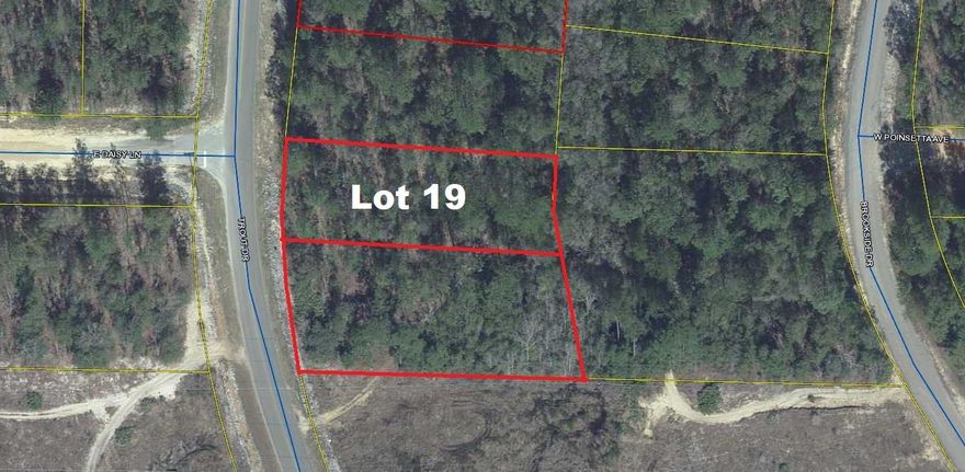Apx. 1/4 ac lot on paved road in growing Mossy Head area. Mobile homes allowed. No utilities currently on property. Public water is available through Mossy Head Water Works. Septic would be required. Adjoining lot 18 is also available for separate purchase.