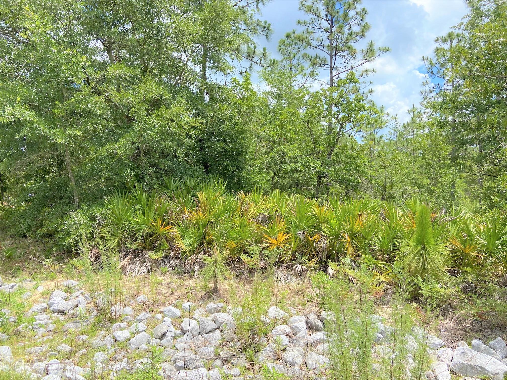 Oakwood Hills Unit 1 - Land