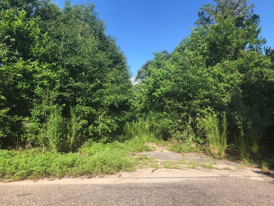 Builders come take a look, rare lot in the heart of Niceville High and dry. Buyer to verify all measurements.