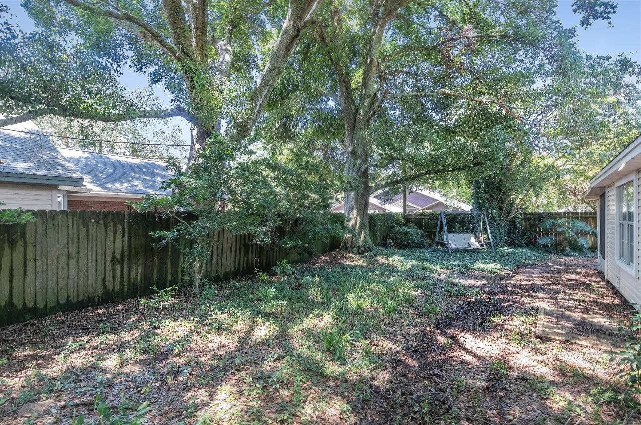 SUMMER TREE - Residential