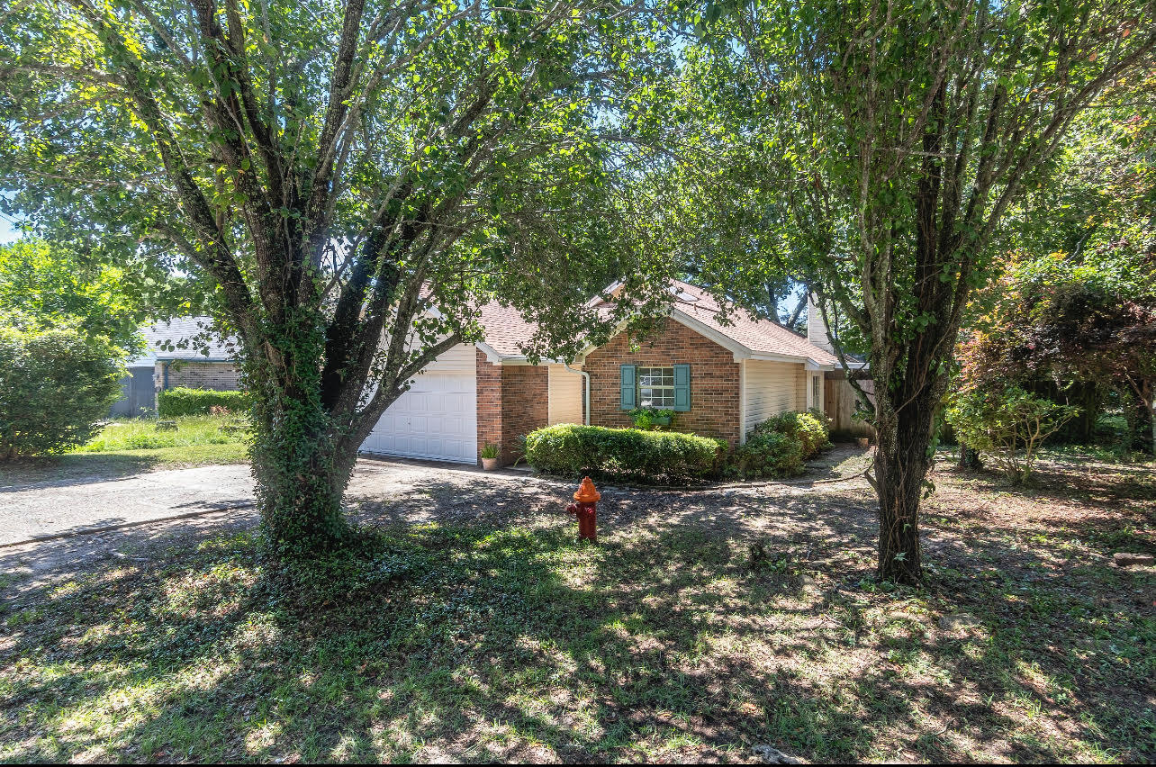 SUMMER TREE - Residential