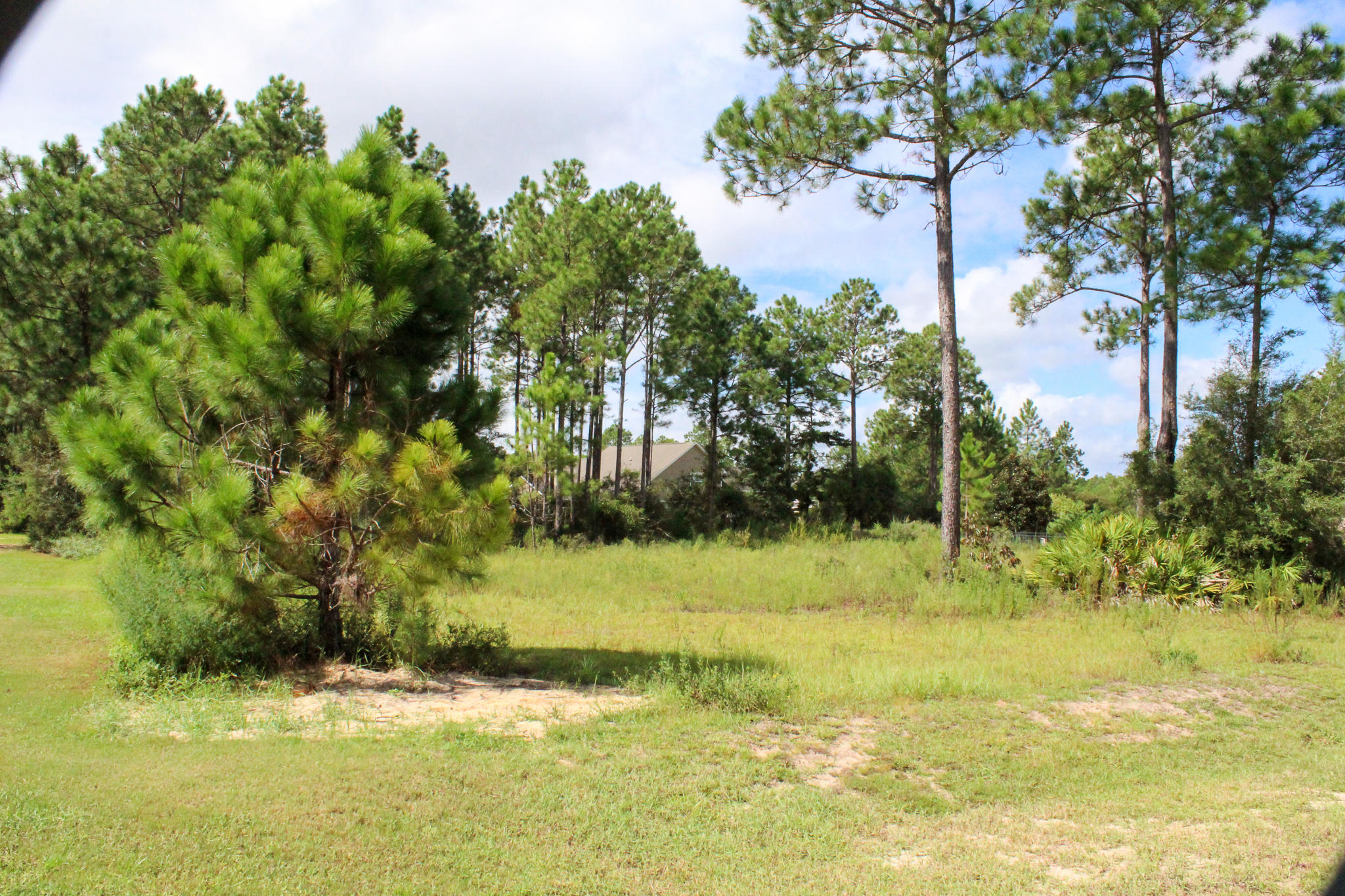 WINDSWEPT ESTATES - Land