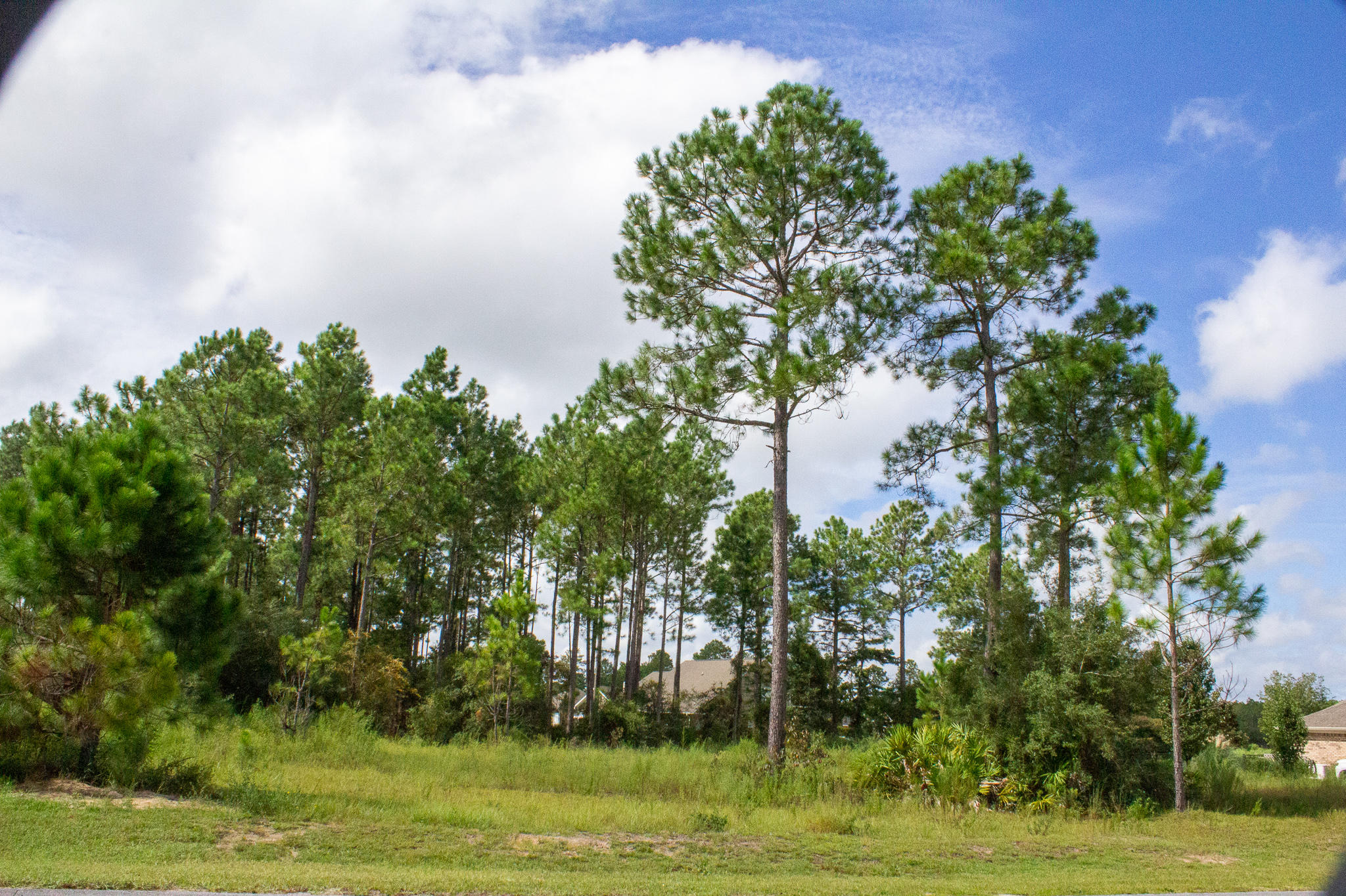 WINDSWEPT ESTATES - Land