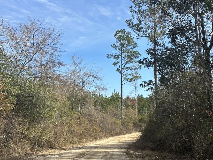 Dream Location for Hunters Paradise either way you won't want to miss this opportunity! This Beautiful 30 +/- Acres of prime land has so much to offer. Bring your  hunting gear, Horses, and ATVS, . LOCATION LOCATION!!!! This Property has Easy Access to Hwy 2, and Hwy 179.