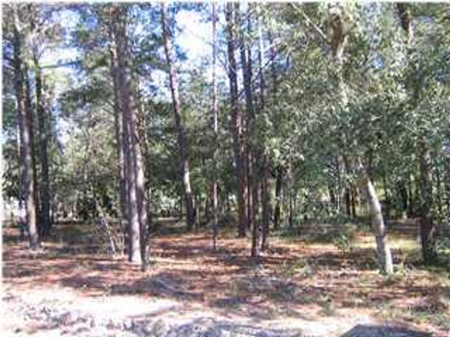 Canal lot with 69 feet of frontage. Very close to the Choctawhatchee Bay with access directly up the canal. Beautiful secluded area with paved roads and public utilities. This residential community is close to Grayton Beach and the amenities of 30A without the noise and traffic. Fishing and other water sports and over 20,000 acres of State of Florida Parks in the immediate area. Excellent location close to quality schools and a family atmosphere.