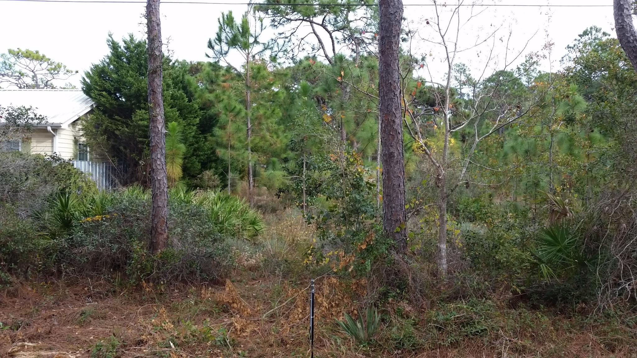 GULF SHORE MANOR - Land