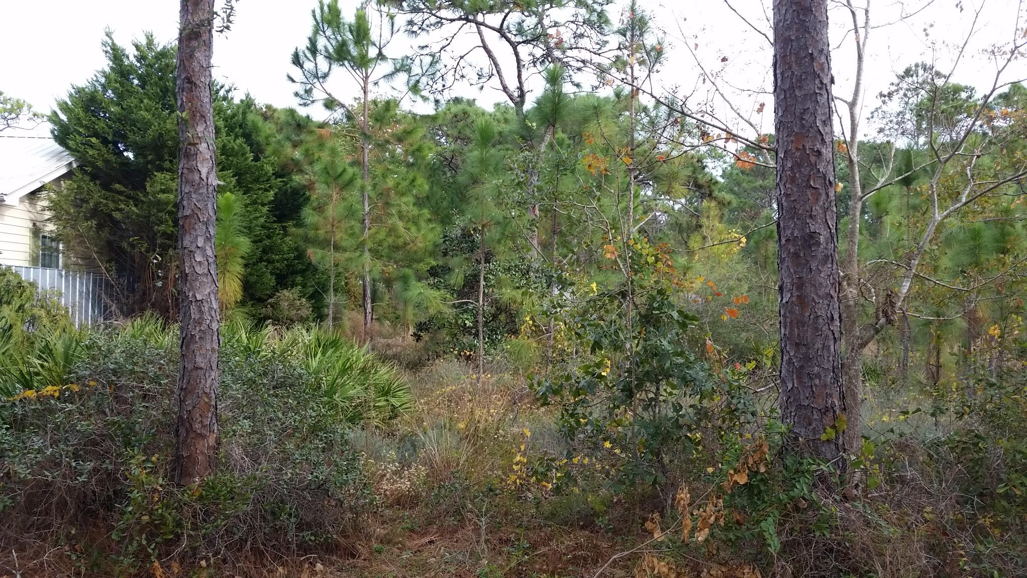 GULF SHORE MANOR - Land