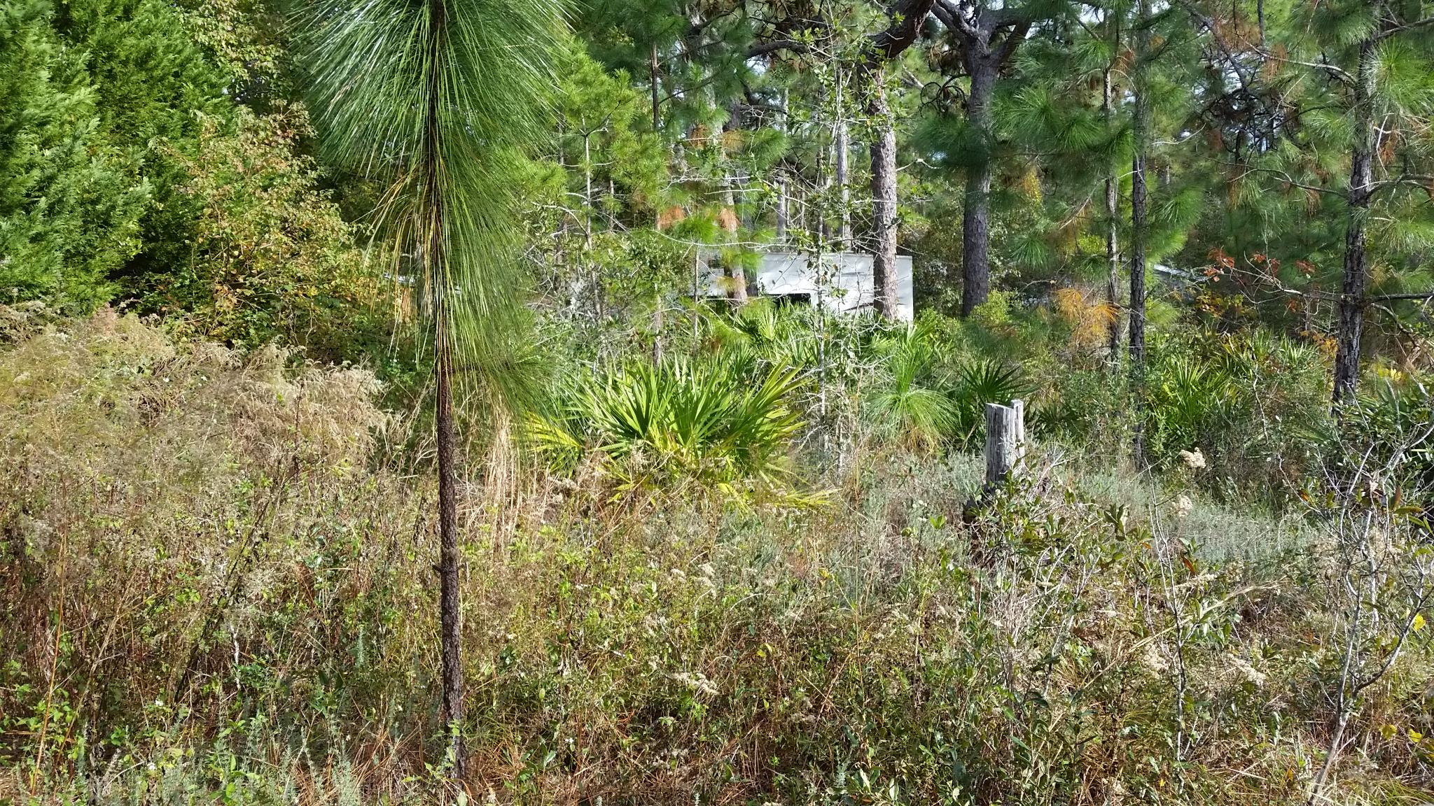 GULF SHORE MANOR - Land