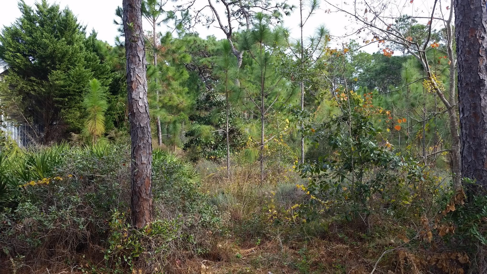 GULF SHORE MANOR - Land