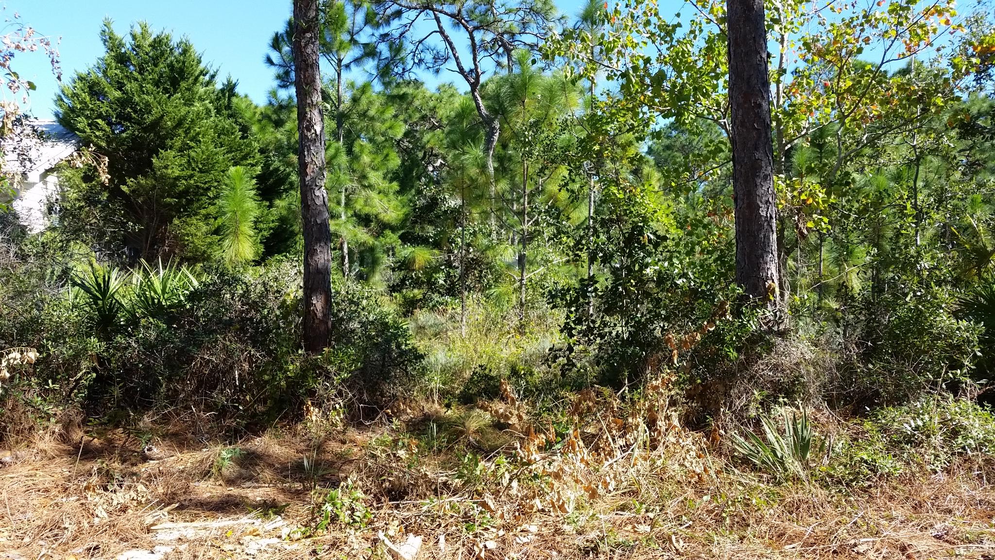 GULF SHORE MANOR - Land