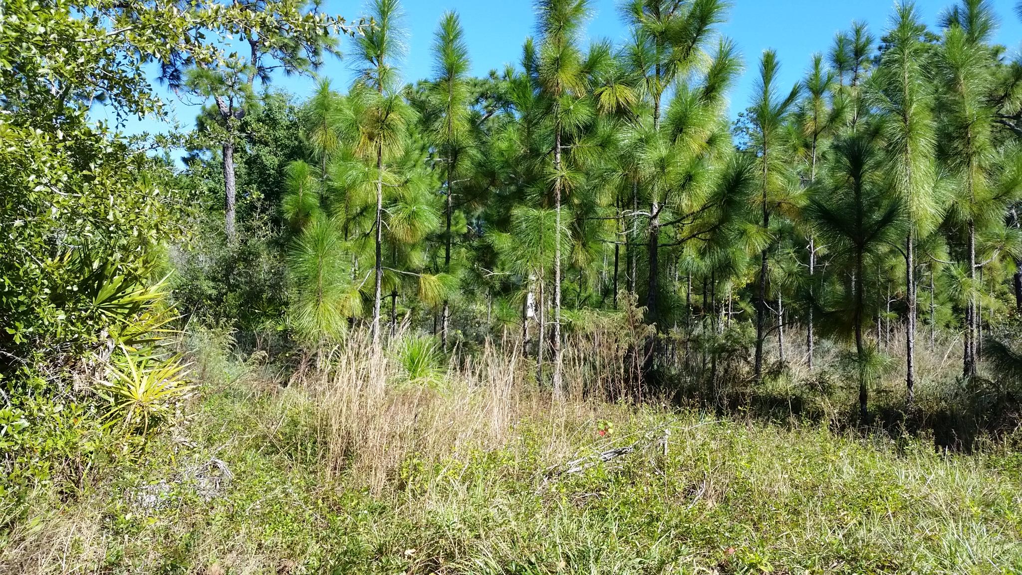 GULF SHORE MANOR - Land