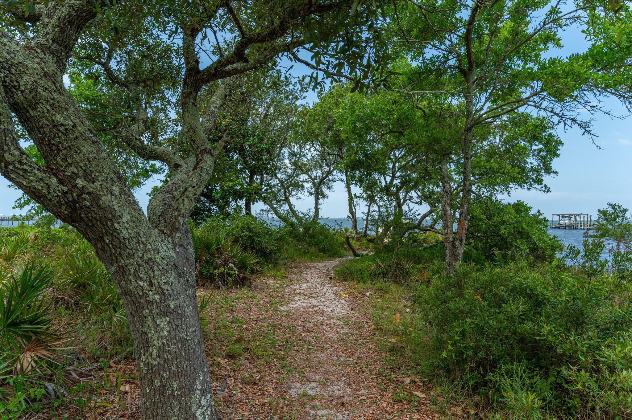 SOUND HAMMOCK - Residential Lease