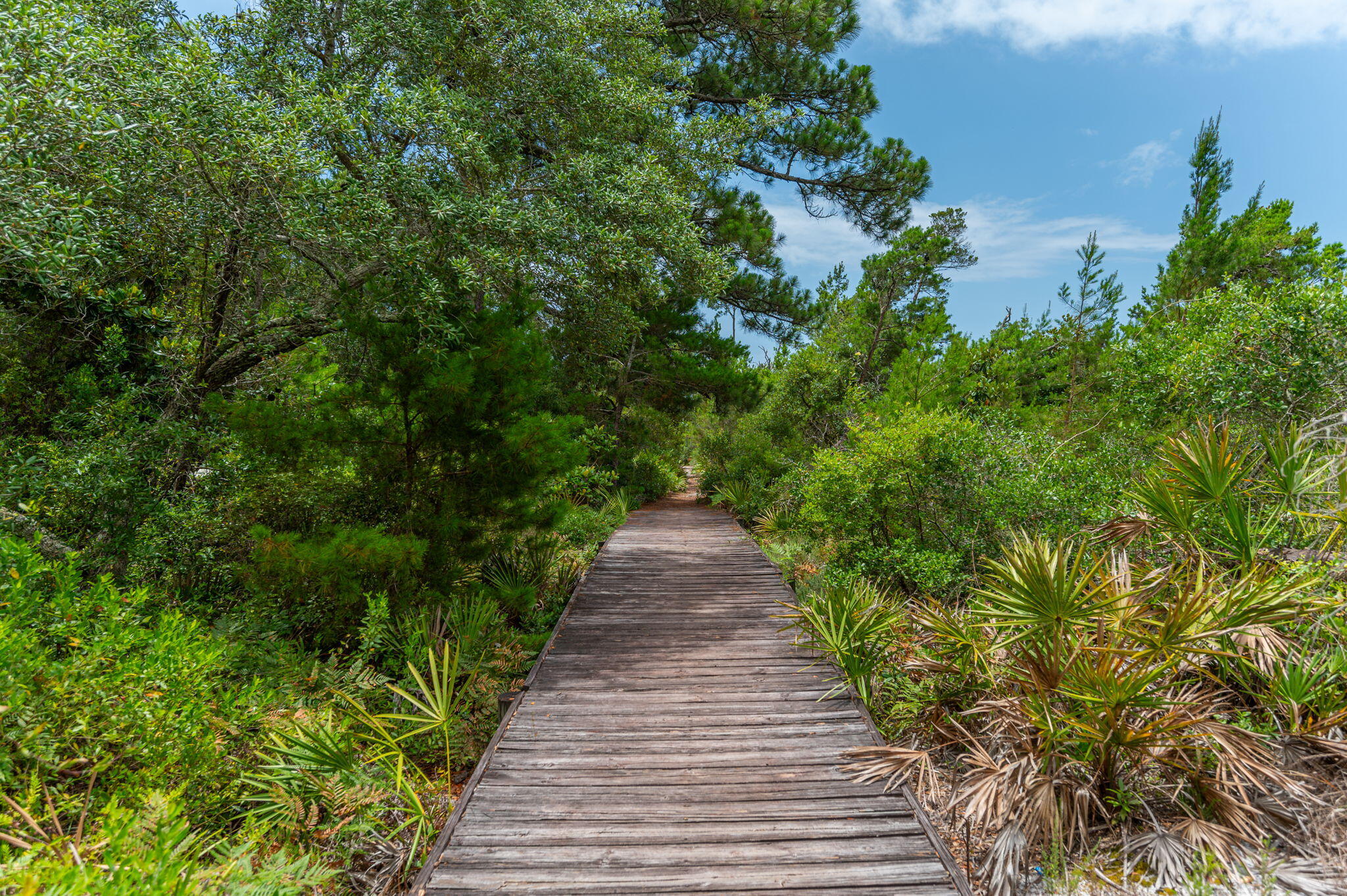 SOUND HAMMOCK - Residential Lease