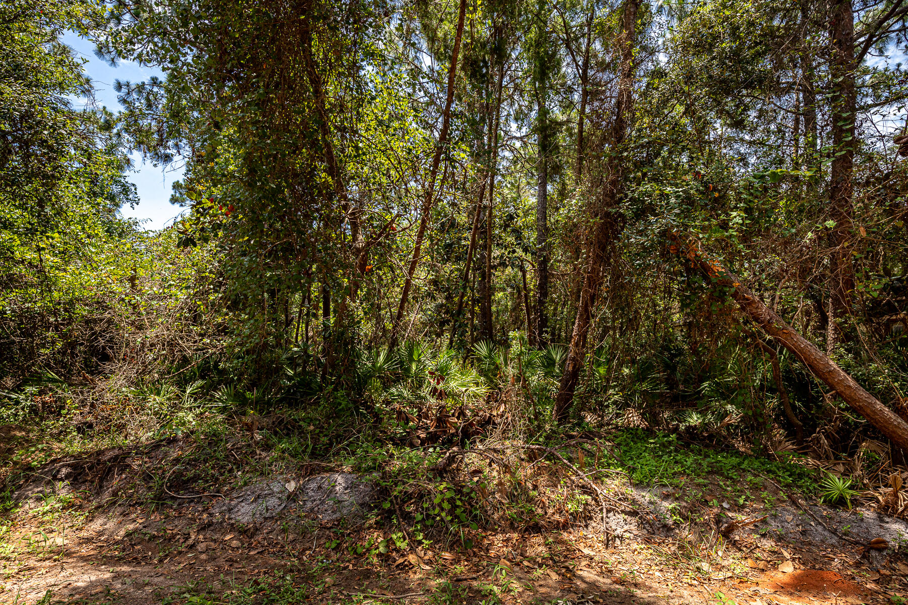 Las Roblas Grande - Land