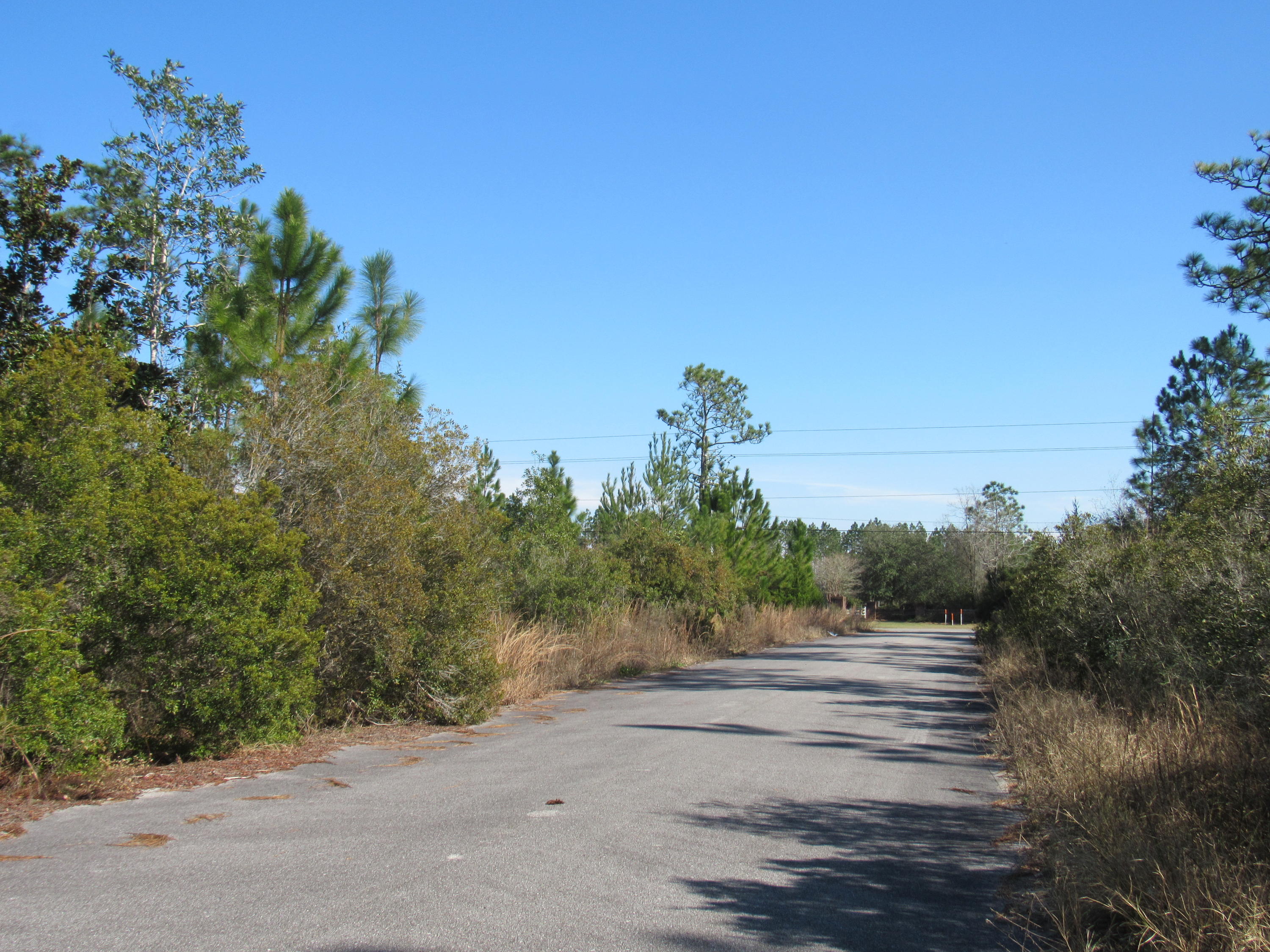 PALMETTO PLACE - Land