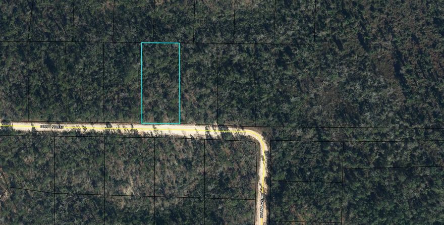 Large 1.165 acre lot in Compass Lake in the Hills. There is a voluntary HOA of $135 a year, but what a great price for all the amenities that are included such as: access to 2 lakes for fishing, tennis, horse stables / riding, rental cabins, RV spots, boat rentals, clubhouse, and a golf range. Being an all-sports lake, enjoy water skiing, tubing, jet skiing, boating, sailing, kayaking & swimming. No need to worry about lunch while out on the water when you have a boat accessible shoreline restaurant. This location is great for someone who enjoys nature and a short drive to the beach since it is located half way between Panama City And Dothan. The area is rich in historical significance, with many restored antebellum plantation homes open for tours or as bed-and-breakfast