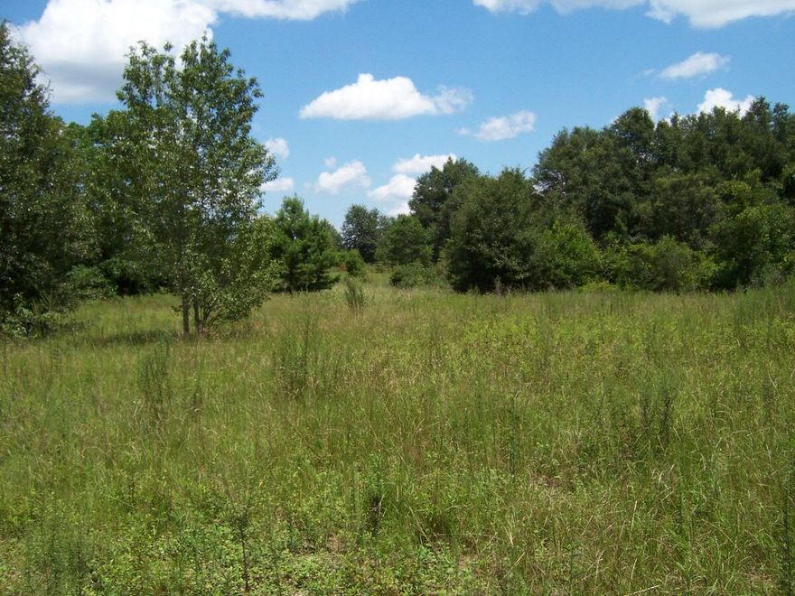 Approximately 7.5 acres located on Walton Rd zoned R1 just west of the High School. Property also fronts Sidney Ave. Mostly level and mostly cleared. Paved road frontage and walking distance to the Wee Care Park and schools. Excellent location for and estate home or several homes in the heart of Defuniak or potential to rezone for commercial opportunities. Several Lakes in the area and the beaches are less than an hour away. Located in the opportunity zone for Walton County.