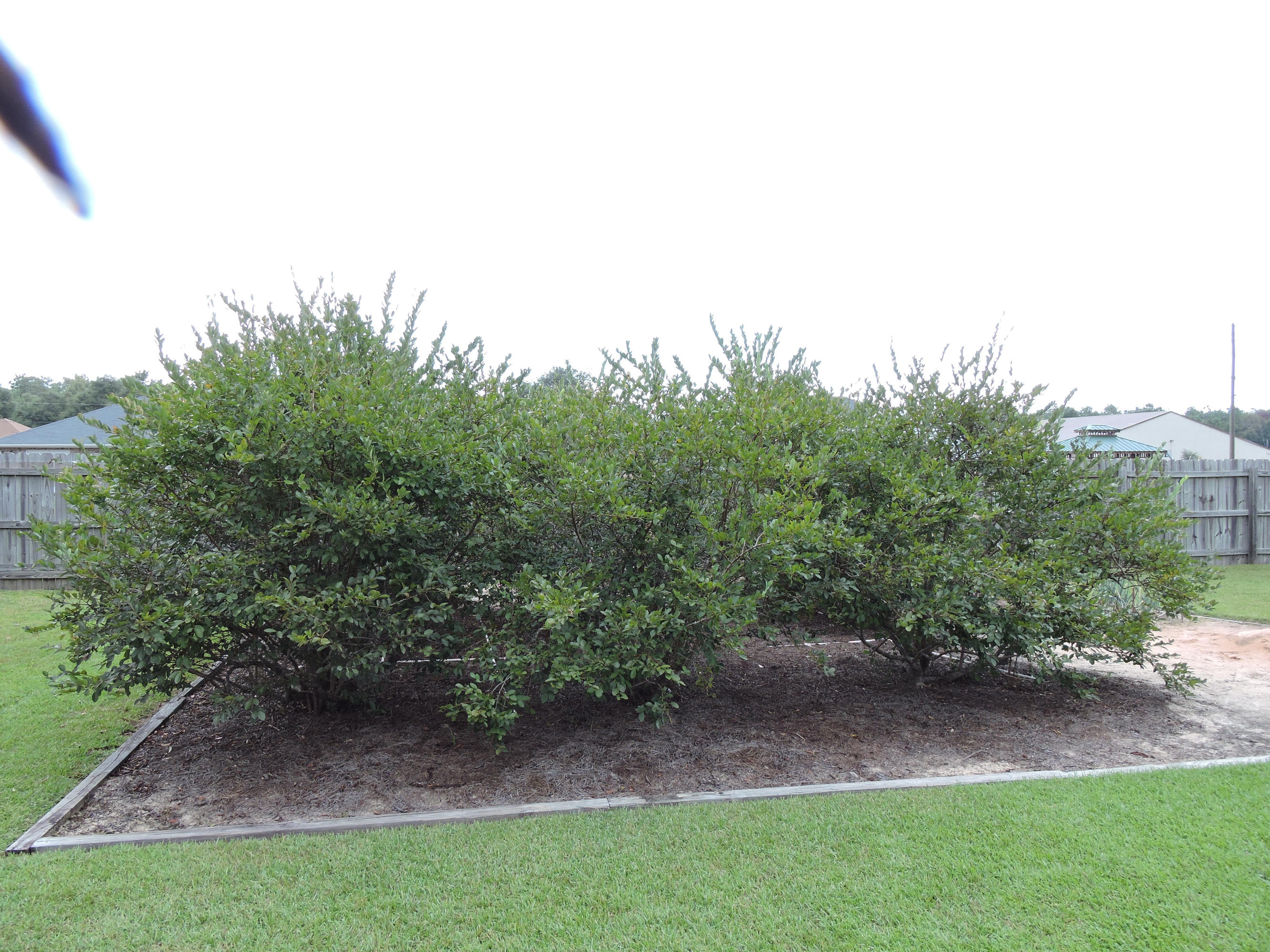 MOORES PLACE S/D - Residential