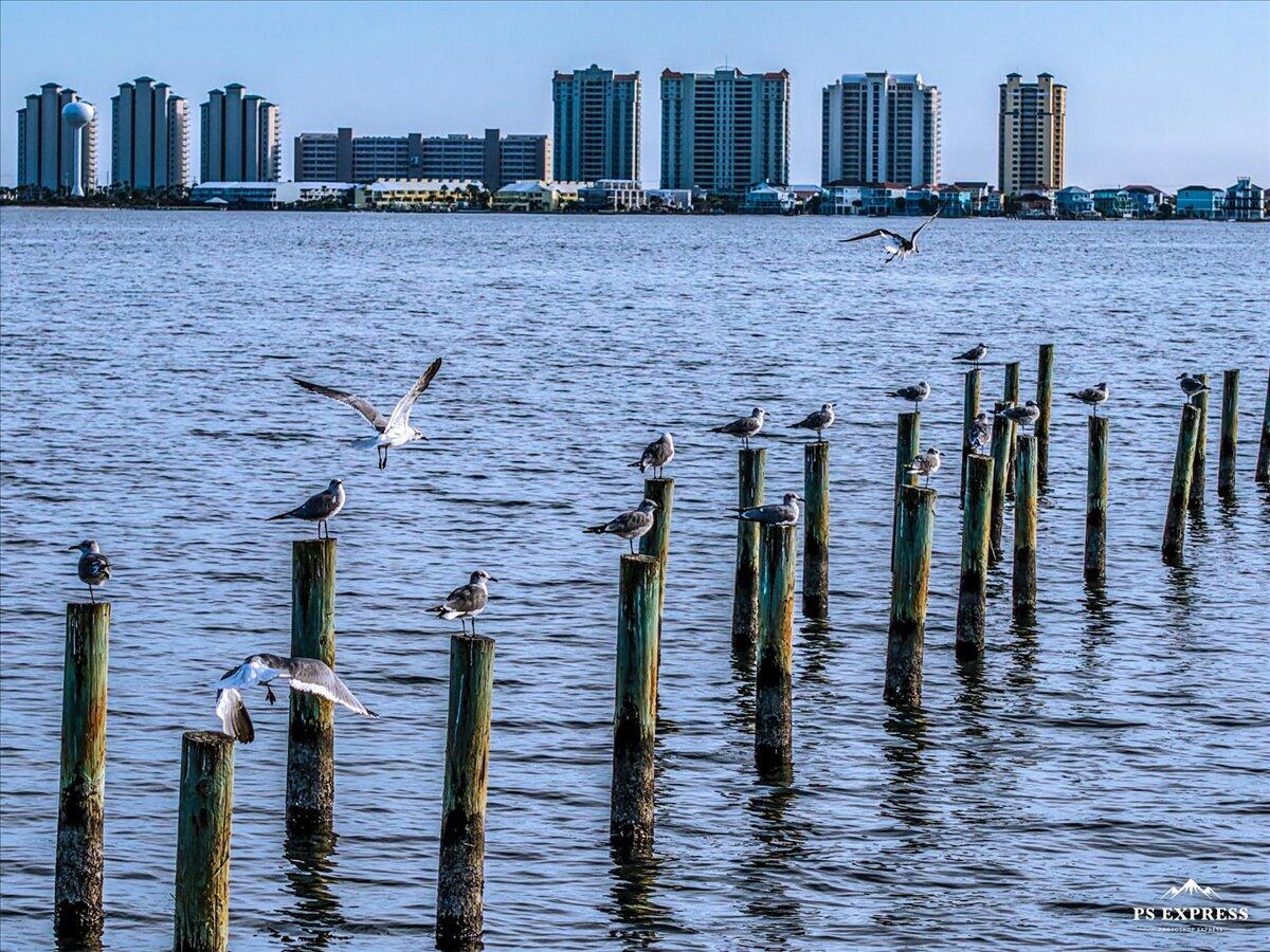 SEA PINES - Residential
