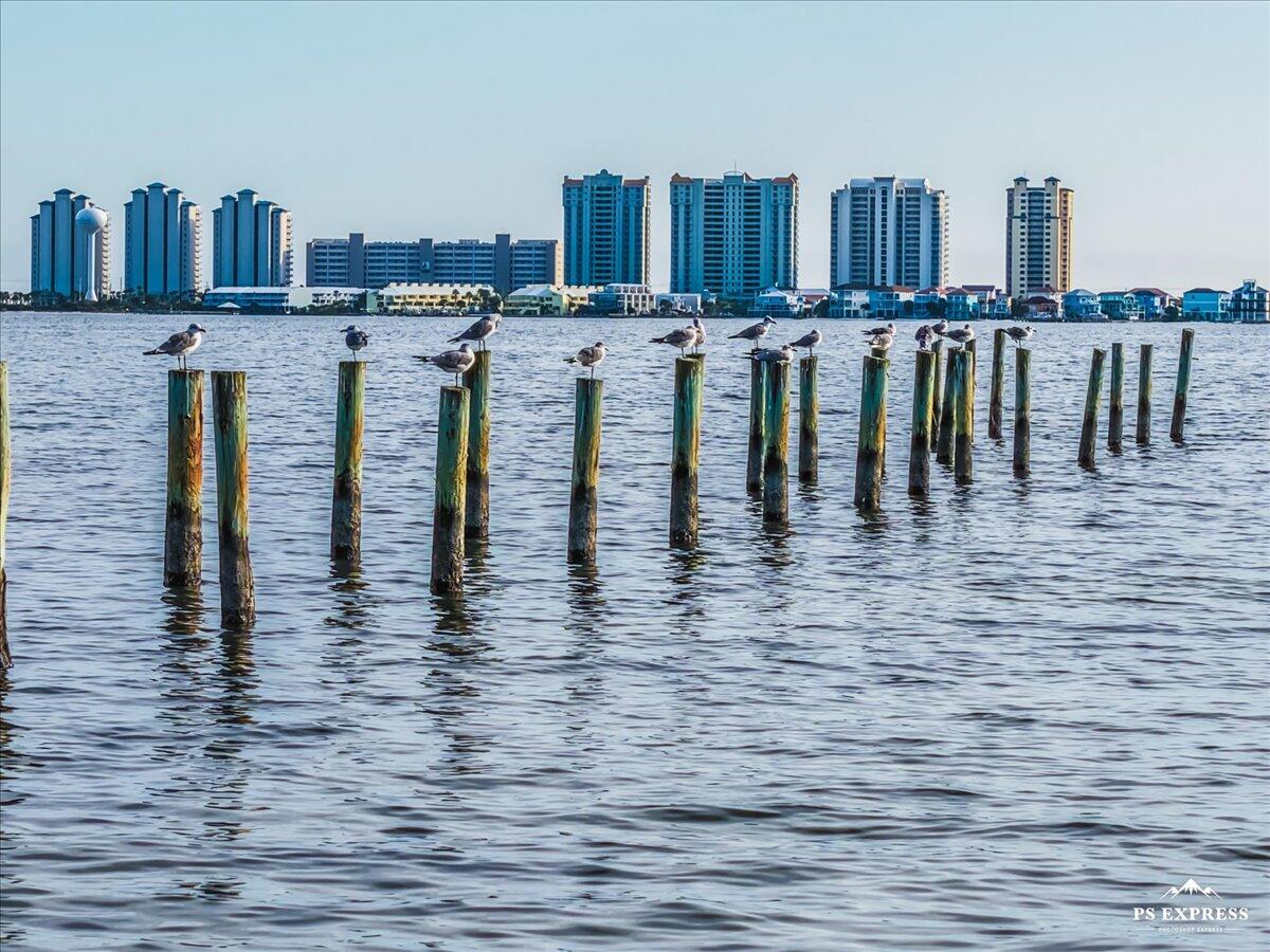 SEA PINES - Residential