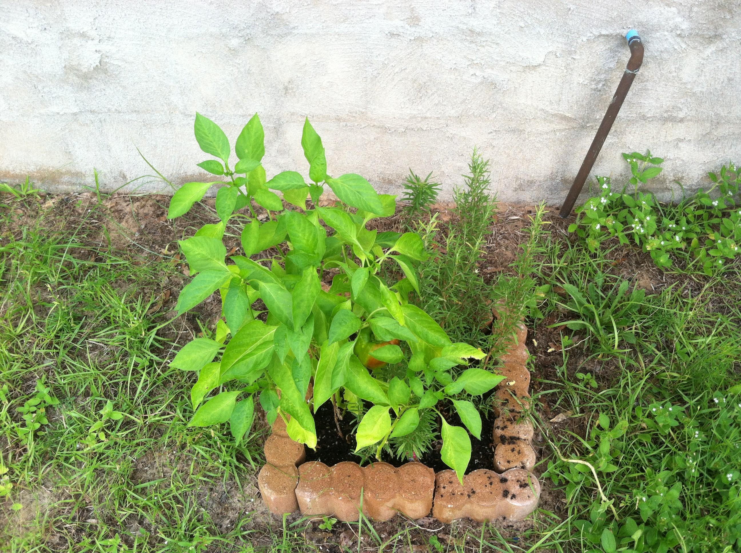 Crescent Heights - Residential