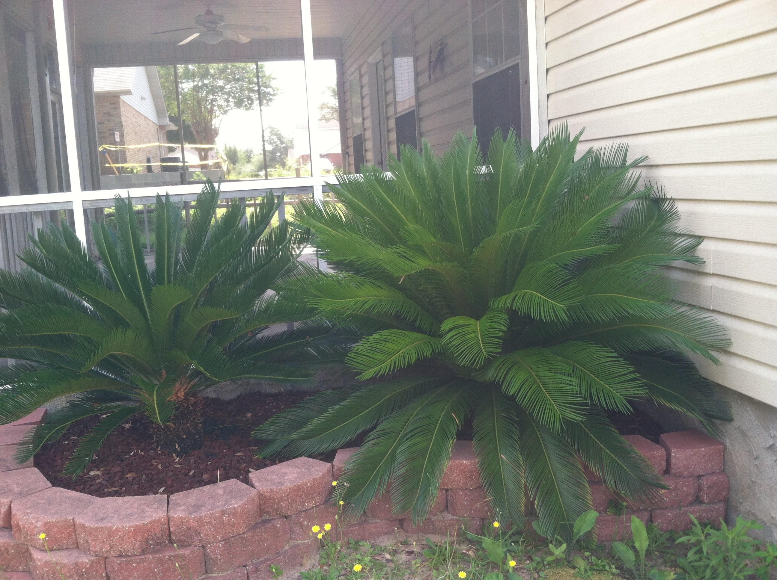 Crescent Heights - Residential