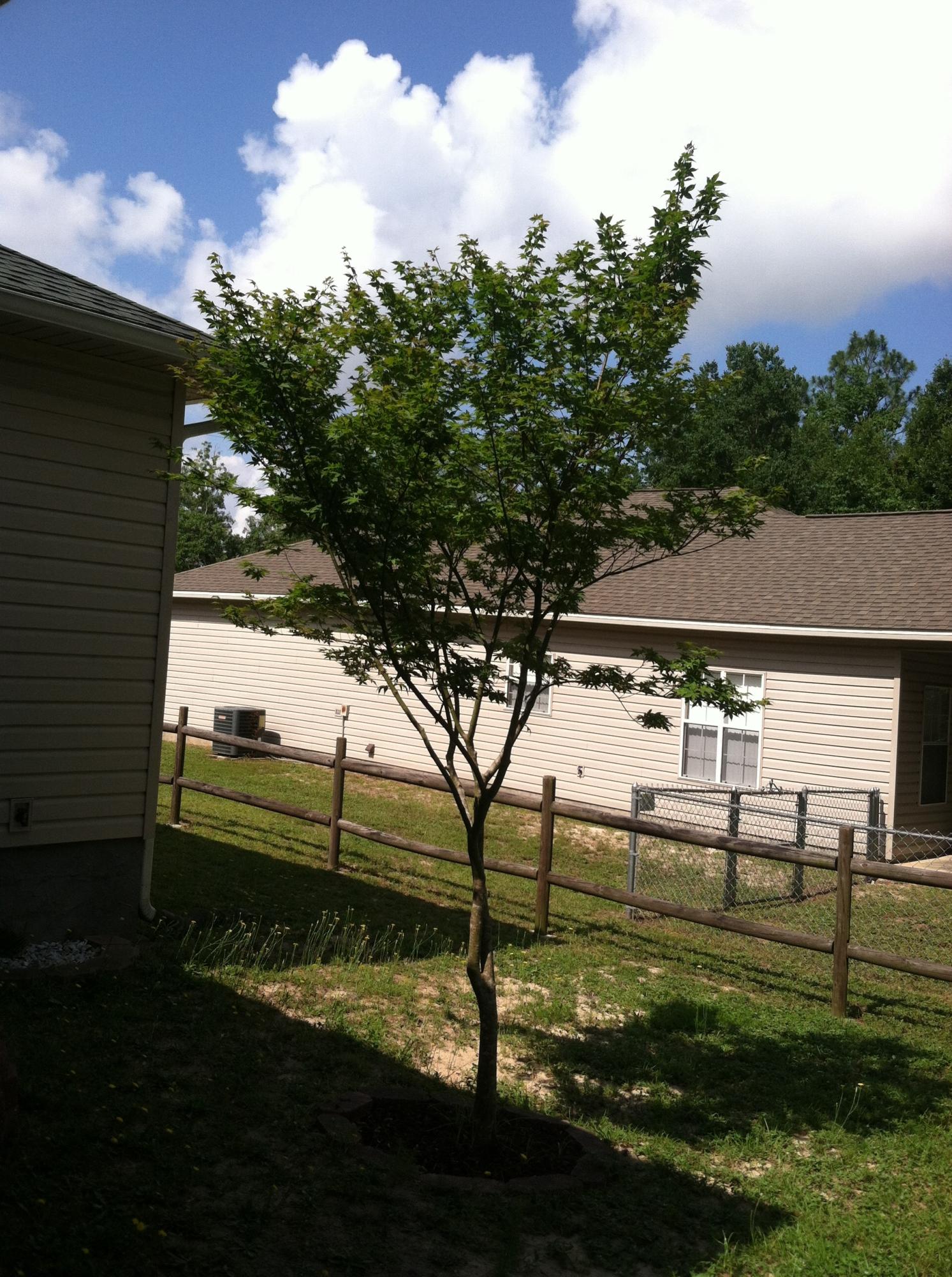 Crescent Heights - Residential