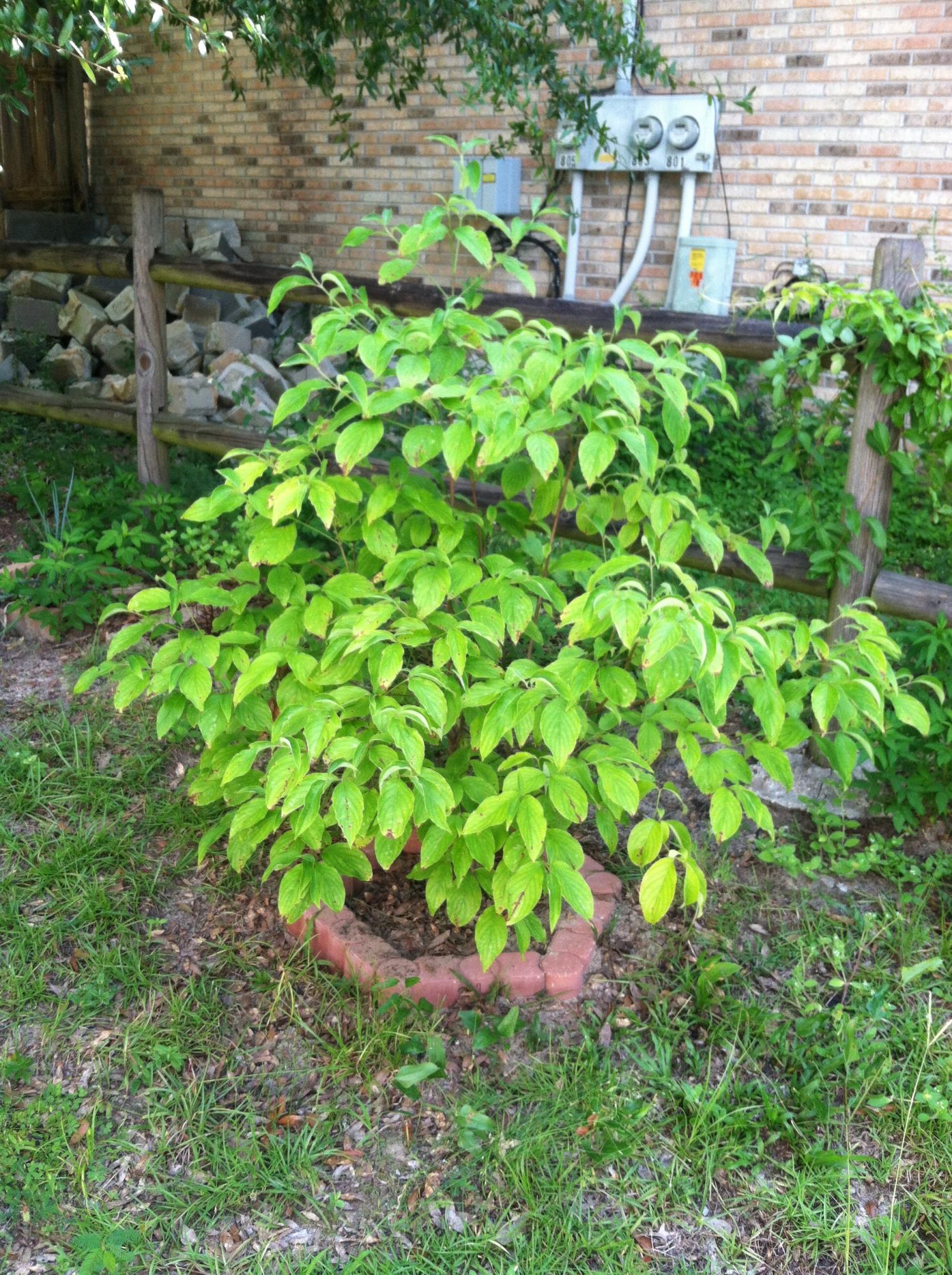 Crescent Heights - Residential