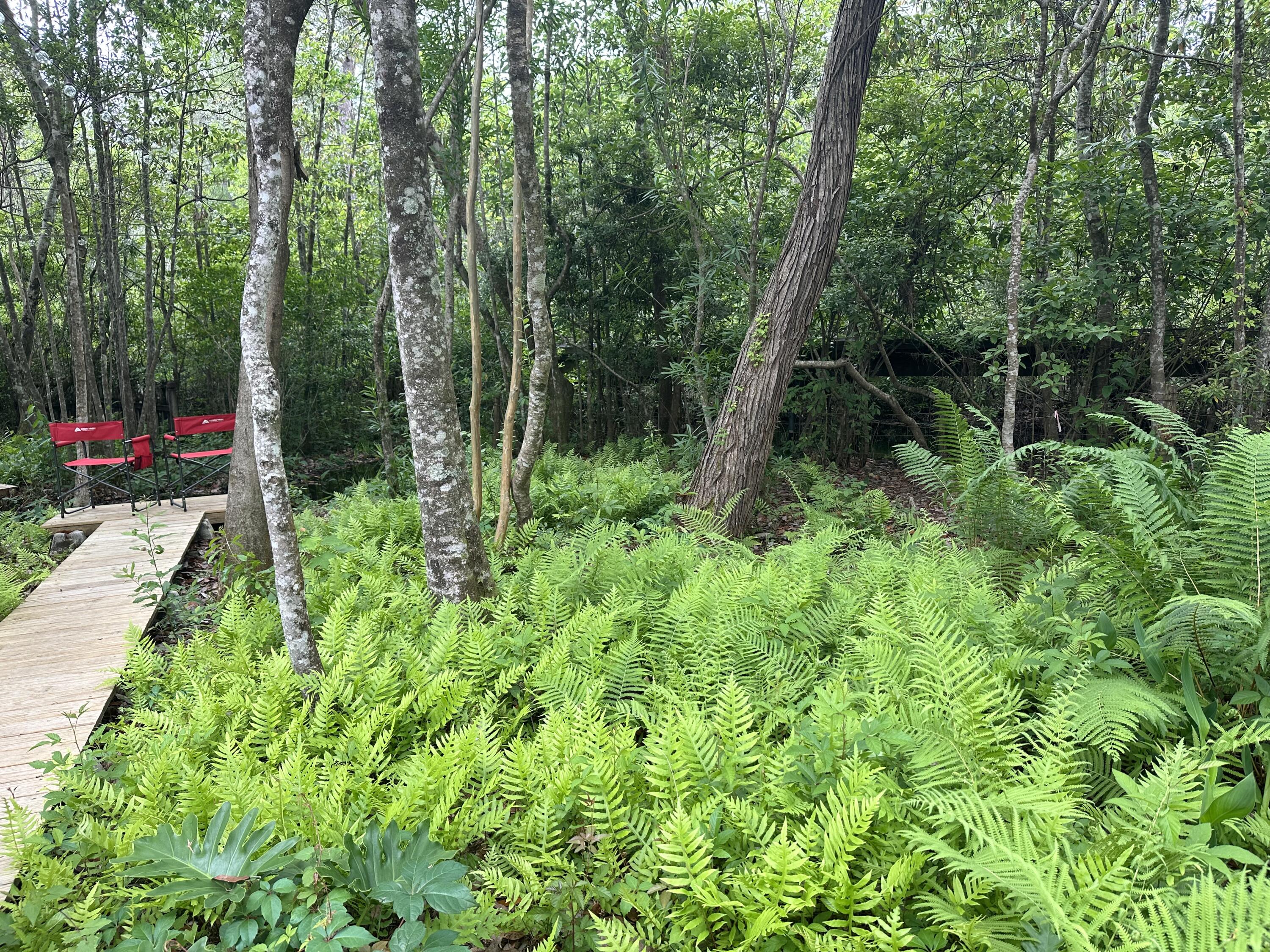 PARKWOOD ESTATES PH 1 BLUEWATER BAY - Residential